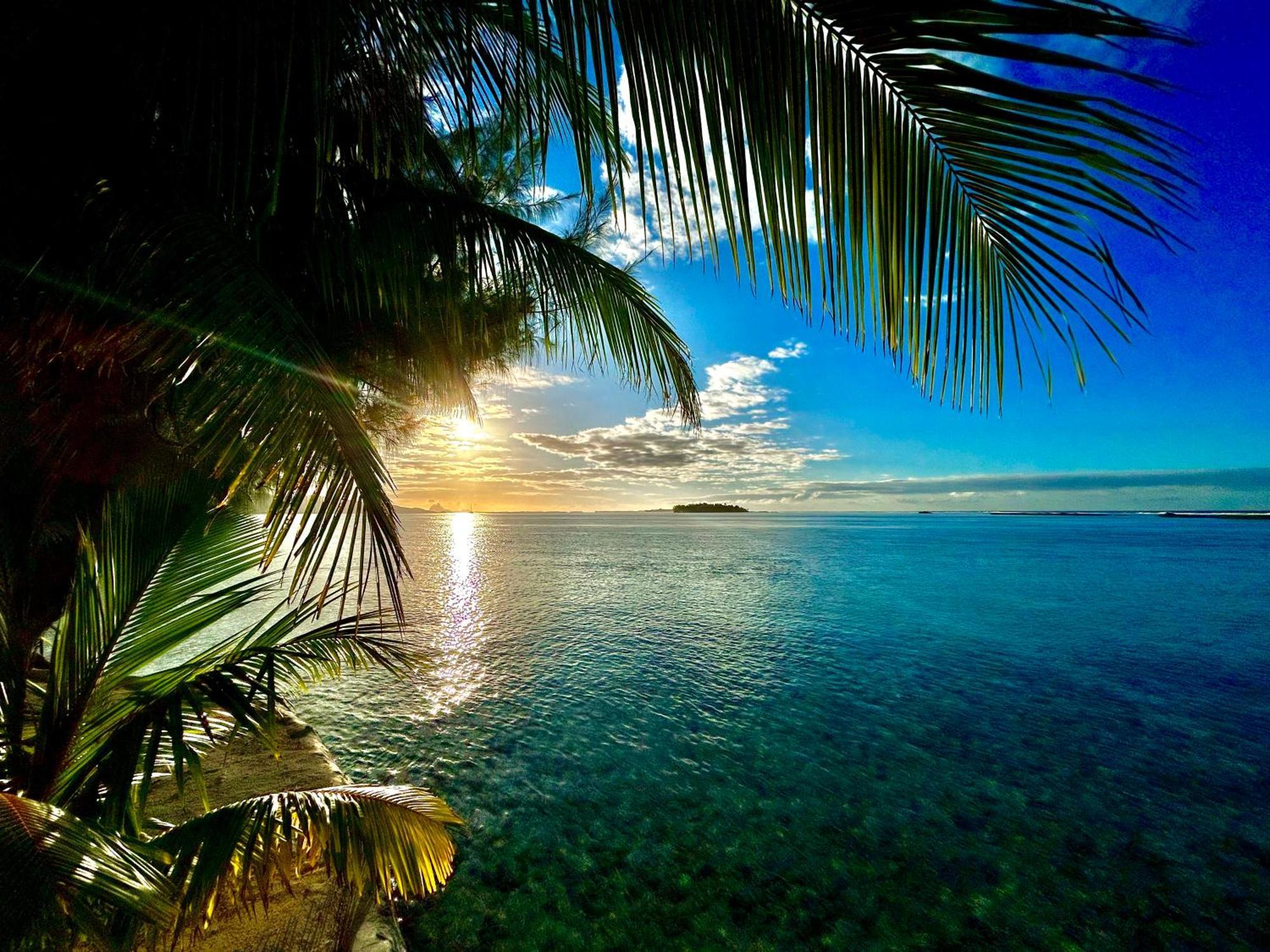 Eden Private Island Tahaa Hotel Patio  Exterior photo